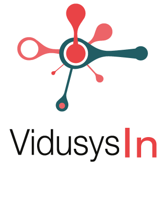 Vidusys In Logo
